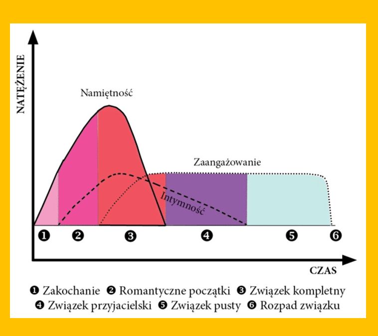 Fazy związku